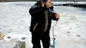 А в Лагуне зима