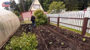 Приехали Родители на дачу//мои мама и папа на даче//моя семья//семейный влог//Family vlog//на даче