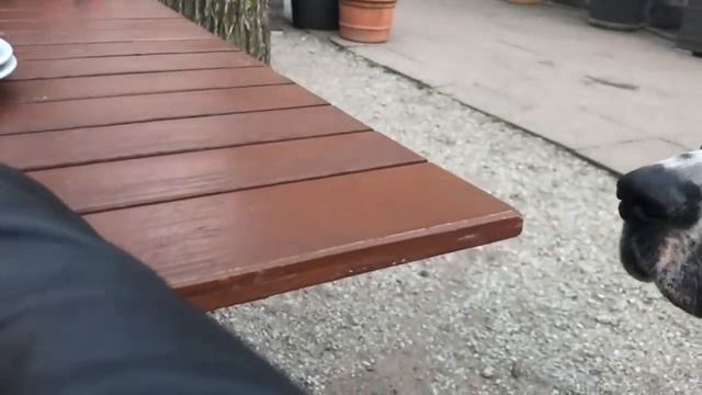 Это вернулось в мою жизнь / За нами следят смотреть онлайн