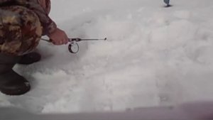 Окунь на балансир Лаки Джон ( Вислая Дубрава )