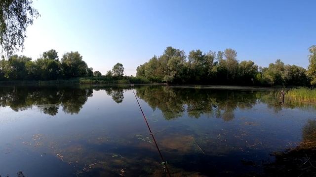 На рыбалке с собакой, вода упала, кот остался доволен #семейныйблог