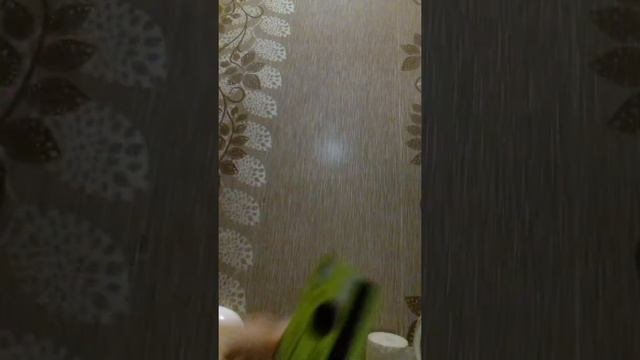 сжёг свою банковскую карту.