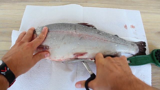 Как легко и быстро почистить форель - Видео-инструкция рыбочистка и ножницы luxfish смотреть онлайн
