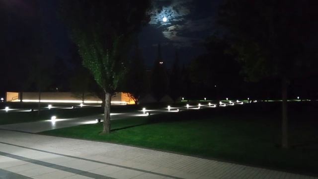 Хроника Краснодар 26 мая 2021 Парк Галицкого часть 2 смотреть онлайн