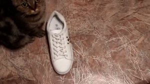 3 Creative Ways to fasten Shoelaces КАК ЗАВЯЗАТЬ ШНУРКИ НА КРОССОВКАХ. Шнуровка кроссовок