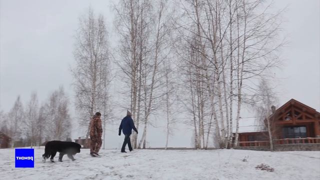 БАНИ-ГИГАНТЫ ИЗ СИБИРСКОГО КЕДРА В ПОДМОСКОВЬЕ | #БанныйДень