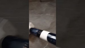 Моющий пылесос Roborock Dyad