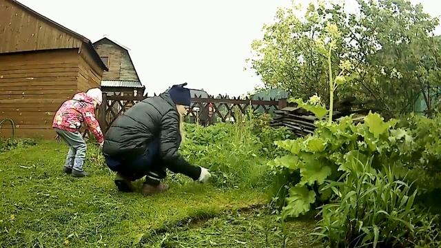 Сад.Дача.Хутор. Сезон 2020 (18). ПОЛЕМ - КОСИМ..... смотреть онлайн