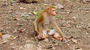 Мама Луна Обезьянка Малышка Обезьянка Люси с косичками | Mom Luna Monkey Baby Monkey Lucie 03