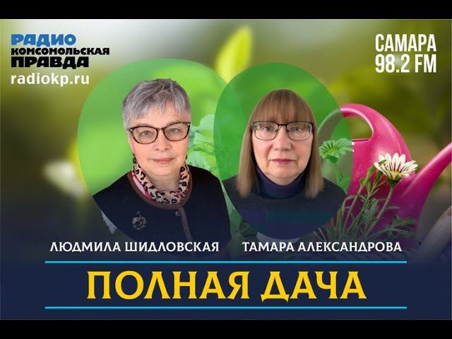 Полная дача: как обеспечить урожай малины в следующем году? | 19.08.2022