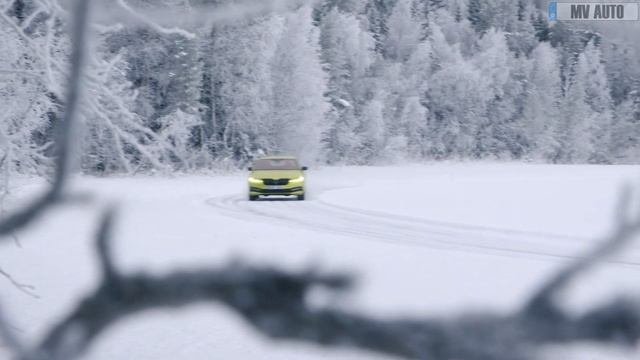 2023 New Skoda Superb Sportline - Review!