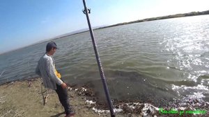 ЛОВЛЯ ЗМЕЕГОЛОВА НА НЕОБИТАЕМОМ ОСТРОВЕ ,Осеняя рыбалка на змееголова