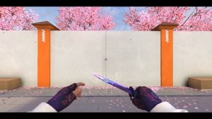 Обзор на сет Gloves "Royal Rose" и  М9 "Digital burst" #сэт#м9#gloves