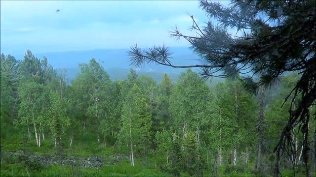 Восхождение на гору Белую (Кузнецкий Алатау, тайга, поселок Лесной)