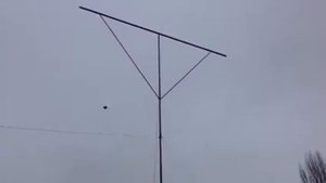 Голуби морозовск асс