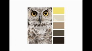 ОСНОВЫ ДИЗАЙНА УРОК 2