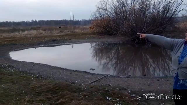 Лоркина деревня  принимает ГОСТЕЙ!!!! Осенние  хлопоты!!!