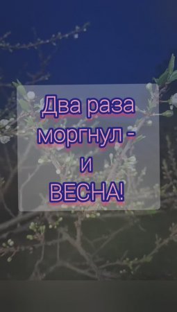 Два раза моргнул и весна😌🌱💗 #rec #рек #шортс