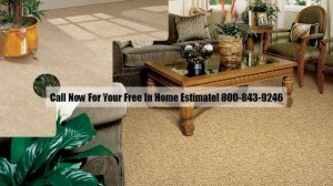 Carpet San Pedro Get $272 in Bonuses! 800-843-9246