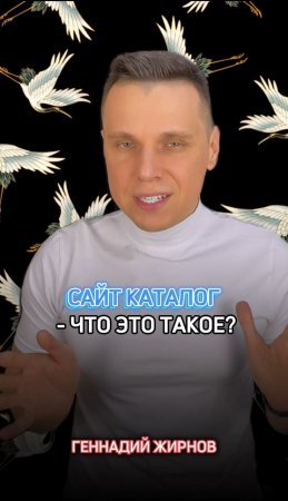 ?️Сайт каталог - что это такое?