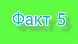 10 ИНТЕРЕСНЫХ ФАКТОВ О СОБАКАХ!