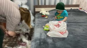 РЕБОРНЫ «НОВАЯ ШКОЛА. Собираемся» часть «1»