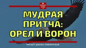 ?Мудрая притча Орел и ворон. #ВажныеСлова, #Мудро, #Ожизни #Задумайся #Мотиваци.mp4