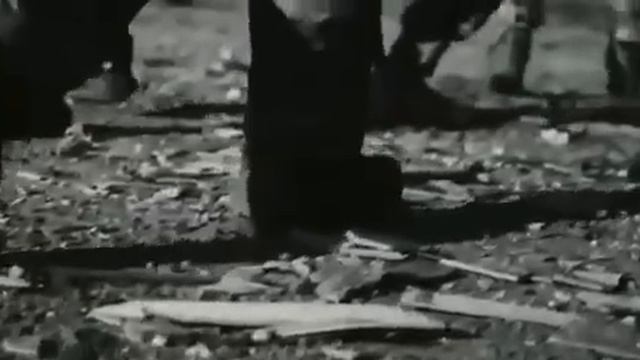 Русский вперед!