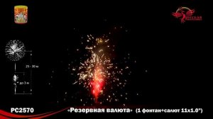 Фейерверк + фонтан РС2570 "Резервная валюта" (1" х 12 залпов)