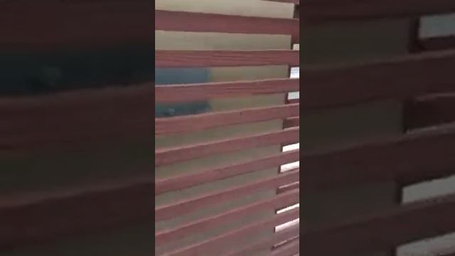Manual override sliding gate operator