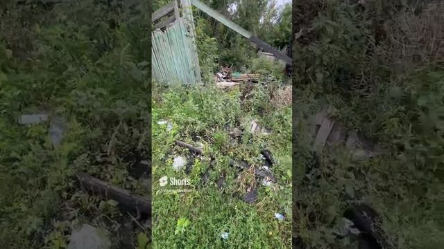 Стрижи на Кирова Дунайская NOVA-Дом Октябрьский район Новосибирск Сибирь 154