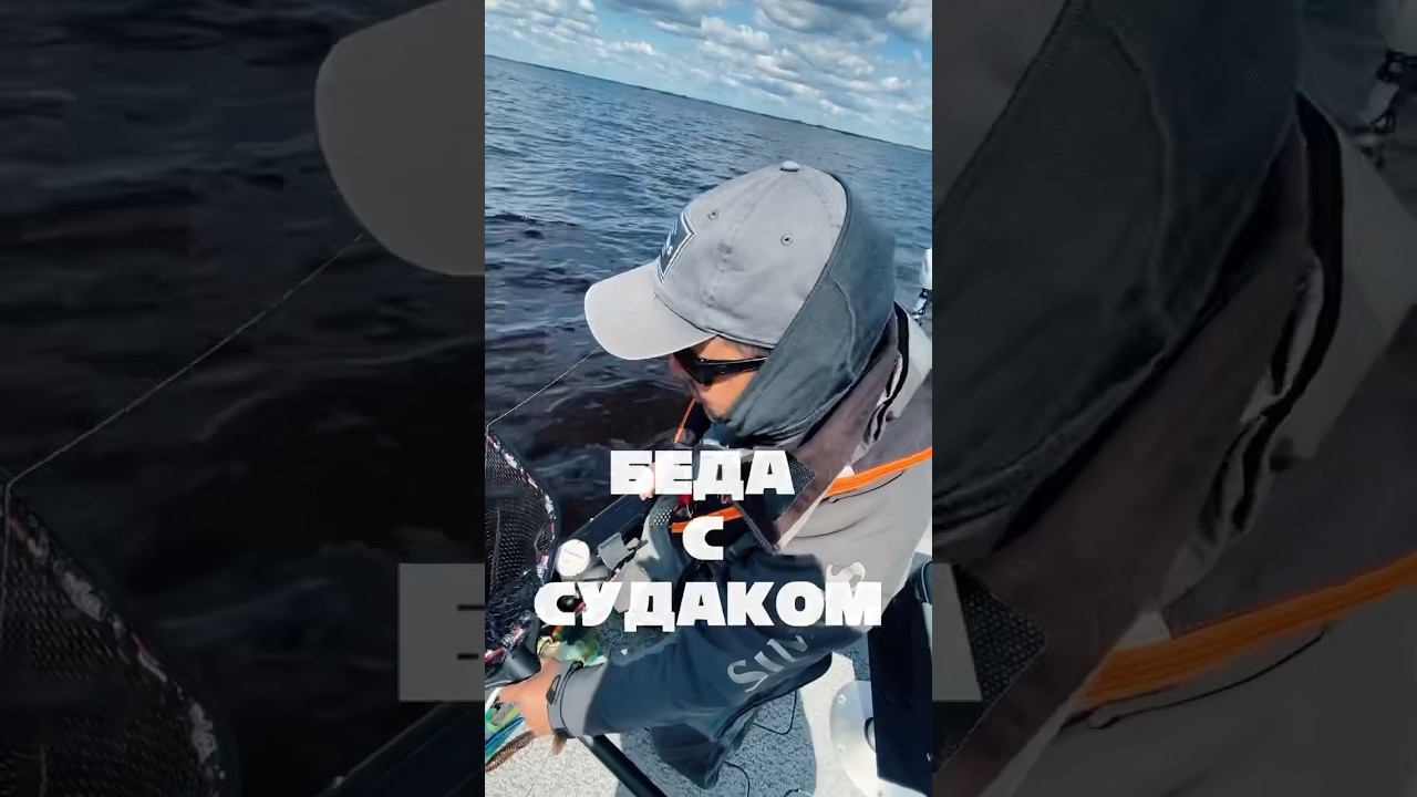 Фибросоркома судака. Подробно читайте в описании ролика. #рыбалка #ловлясудака #видеоорыбалке