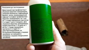 Профилактика заболеваний у голубей на 2024 год