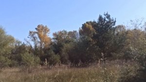 27 декабря народный праздник Филимонов день. Народные приметы и традиции. Что делать нельзя.