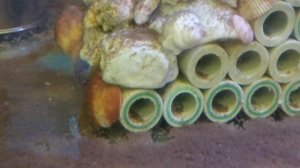 Разведение АККР.