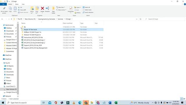 Module 10 SAM Critical Thinking Project 1c | NP_EX19_10b_FirstLastNam | New Perspectives Excel 2019