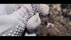 Результативный коп по Черняховской культуре.