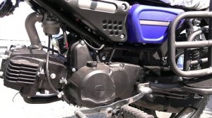 Мопед COLT 2 (ALLOY). Снова в продаже. Краткий видео-обзор.