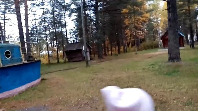 Экскурсия на Родину ЗОЛОТОЙ Рыбки из сказки ПУШКИНА смотреть онлайн