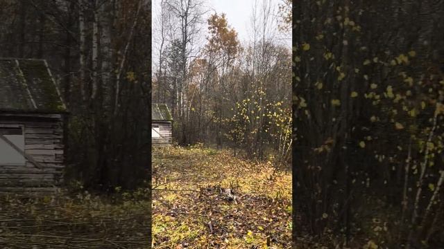 Участов к СНТ Салют Село Ворсино смотреть онлайн