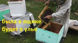 пересадка семьи из одного жилища в другое
