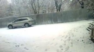 алмато лайлак кор