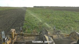 Свеклоуборочный комбайн Ropa Euro - Tiger Машина 2002 года Уборка сахарной свёклы в Липецкой област