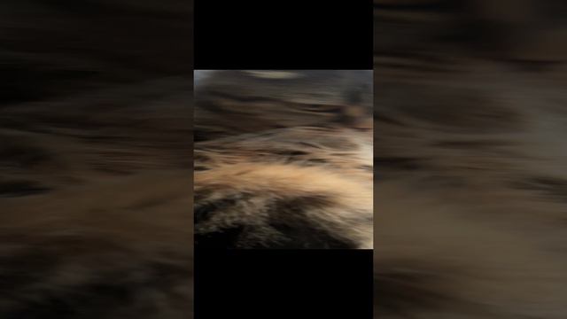 ЧЕССИ🐯ТЫ ТАК ПРЕКРАСНА