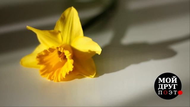 Константин Бальмонт - Молитва | Христианская поэзия | Мой друг поэт смотреть онлайн