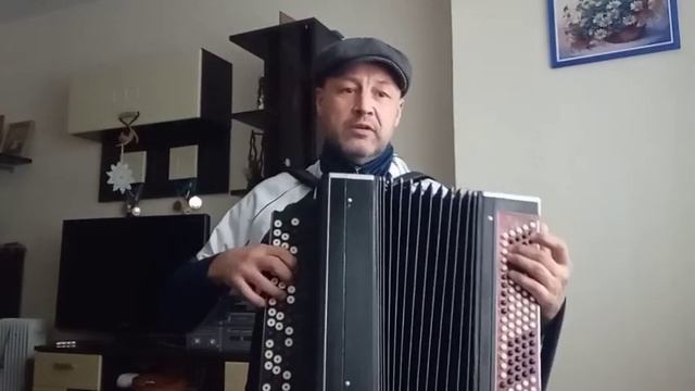 К Бате. Под старый баян. #песниподгармонь #песниподбаян