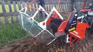 Выгрузка картофеля ! Копалка Pashin самосвал!