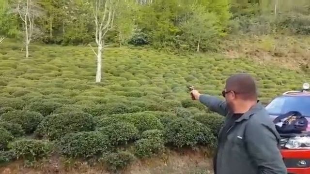 MAUSER M03/S.W 38 AUTO/CZ45 AUTO/BROVİNG смотреть онлайн