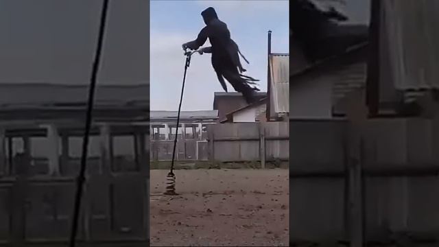 Пугало с Алиэкспресс_Товары из Китая#Shorts.mp4 смотреть онлайн