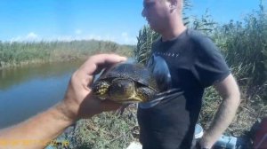 БРИНЬКОВСКАЯ РЫБАЛКА